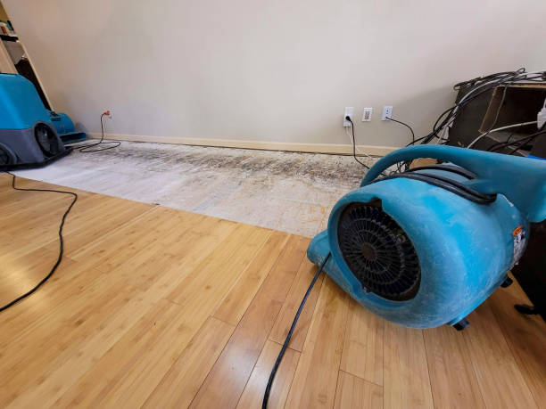 Professional Sewage Cleanup technician working in Ninole, HI
